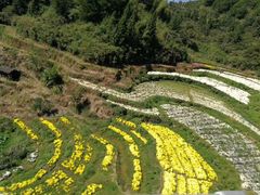 -篁嶺土菜馆·柴火饭 土鸡土菜
