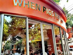 -WHEN PIGS FLY当猪飞