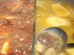 -湊湊火锅·茶憩(新中关购物中心店)