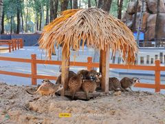 -北京野生动物园