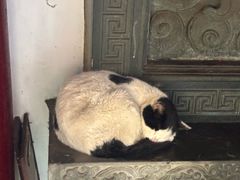 -普陀山慧济禅寺