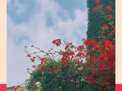 -情侣路