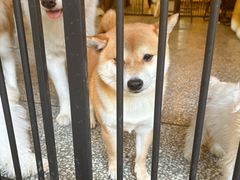 -董厨煨汤馆(车站路店)