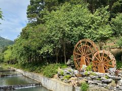 -广州白江湖森林公园