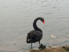 -琅岐红光湖公园