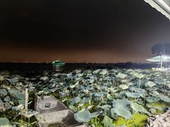 -七的湖·晚芳亭·阳澄湖农家菜·大闸蟹(莲花岛店)