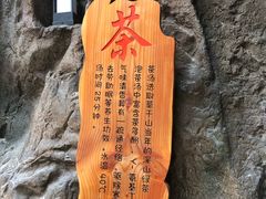 -裕龙汤泉