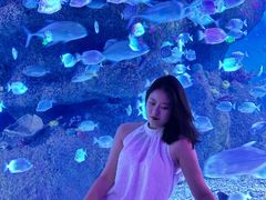 -沙沙哗啦海洋馆(华宇百花谷店)