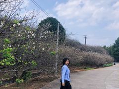 -广州市流溪河国家森林公园
