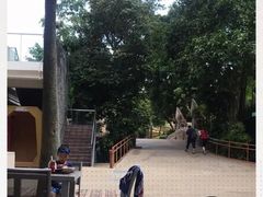 -新加坡水上探险乐园