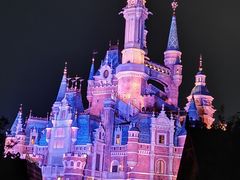 -上海迪士尼度假区