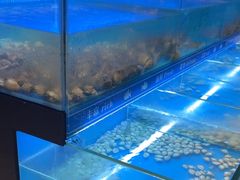 -太湖饭店玉兰厅(自助餐厅)