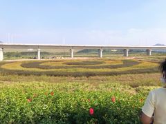-光明小镇欢乐田园