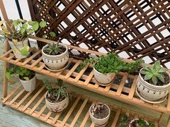 -茶百道(呼家楼店)