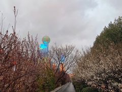 -一澜江宴·江景地标楚菜(江滩公园店)
