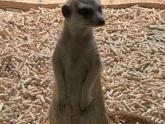 -绿色星球动物主题公园