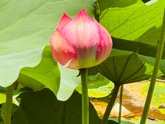 -黄兴公园