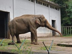 -合肥野生动物园