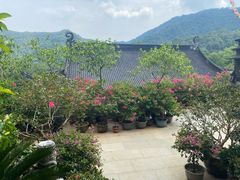 -灵顺寺