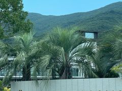 -象山黄金海岸雷迪森酒店