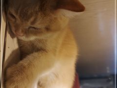 -乐宠宠物店(世纪金源店)