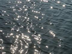 -芒洲湿地公园