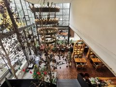 -桉树林A coffee 森林餐厅(三圣乡店)