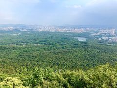 -紫金山天文台
