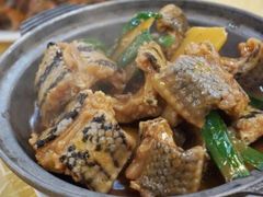 -荔城生鲜盛宴(番禺旗舰店)