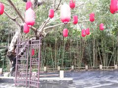 景点-东部华侨城