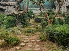 -石排湾郊野公园