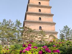 -大慈恩寺(大雁塔)
