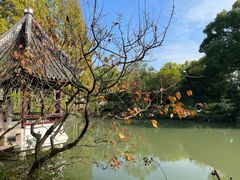 -上海醉白池公园