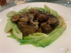 -新世纪大酒楼·30年南海菜