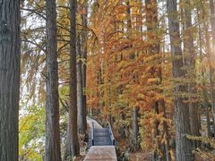 -东湖落雁景区