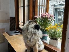 -铁炉咖啡(河下古镇店)