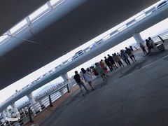 -演武大桥观景平台