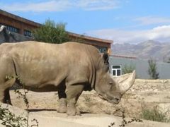 -新疆天山野生动物园