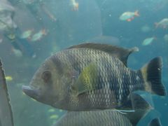 -珠海长隆海洋王国