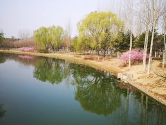 -大兴滨河森林公园