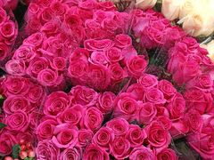 -循礼门鲜花花市(武汉循礼门店)