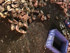 -兵哥鱼王海鲜(百姓村美食街店)