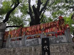 -大槐树寻根祭祖园