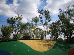 -昆山城市生态森林公园