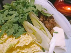 -胜博殿霸王树(嘉里中心店)