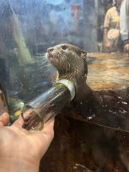 -Zoolung Zoolung动物主题公园(海信广场店)