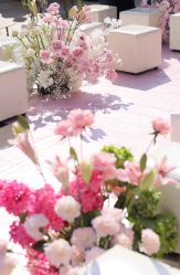-明典婚礼策划·婚车租赁·婚纱摄影