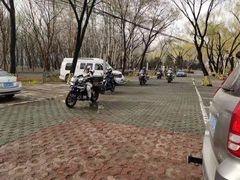 -枫花园汽车电影院(朝阳公园店)