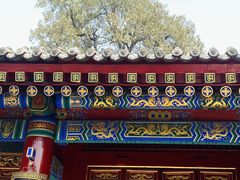 -西安市广仁寺