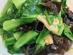 -来相会饺子·新辽菜(甘家口店)